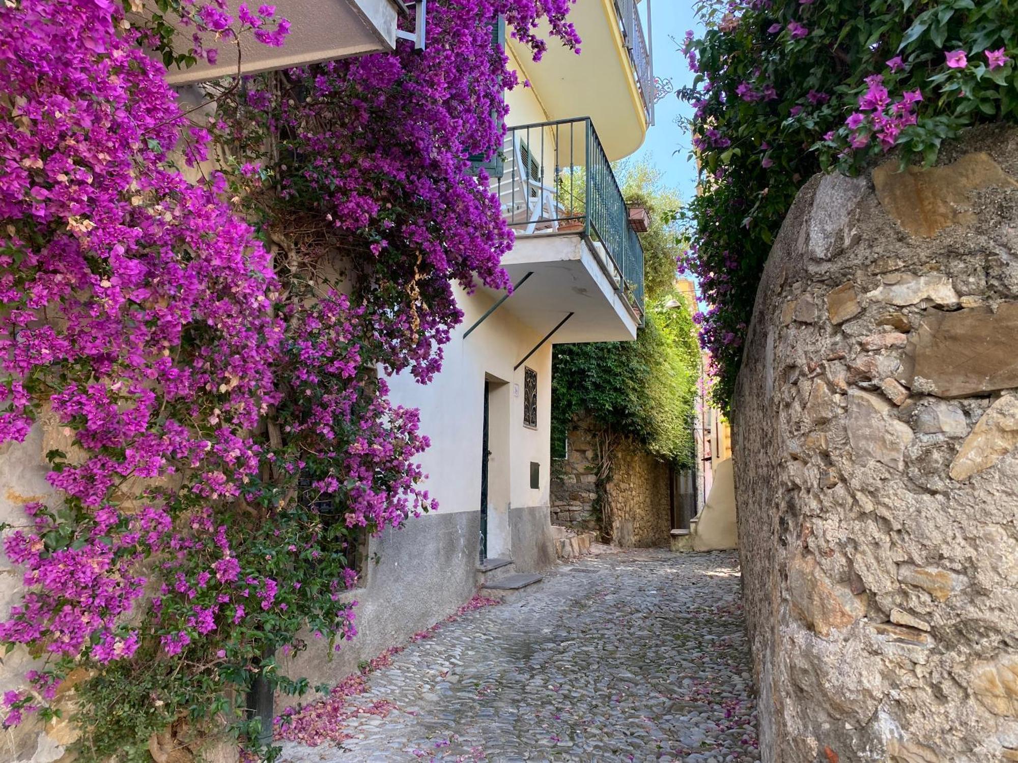 Bed and Breakfast La Finestra Sul Borgo Cervo Zewnętrze zdjęcie